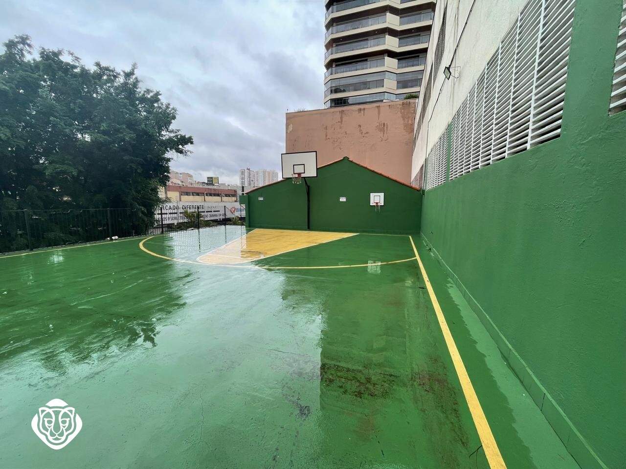 Quadra de basquete