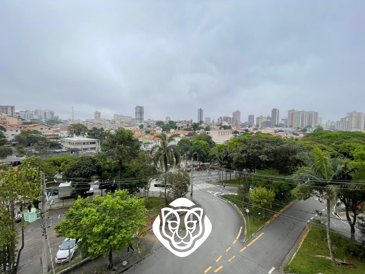 Vista