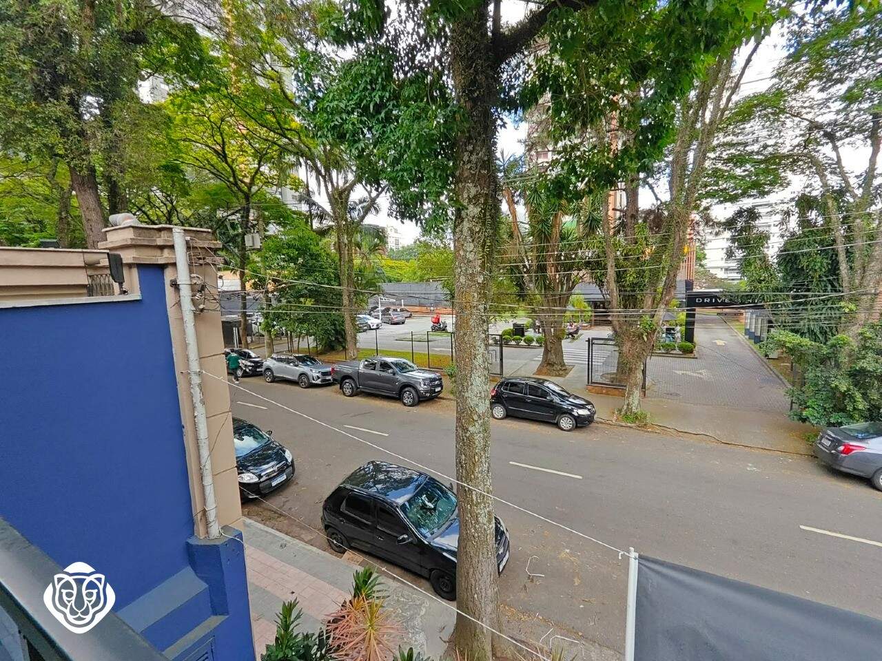 Vista
