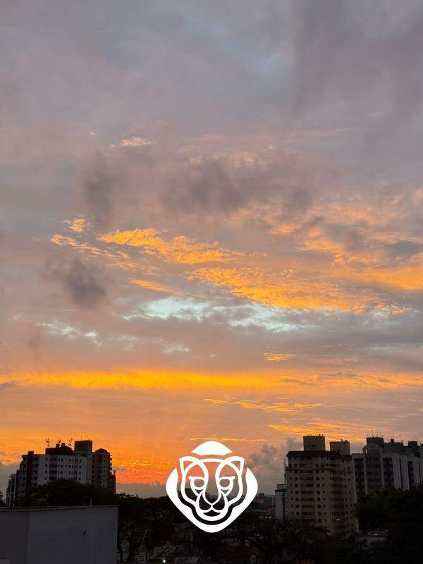 vista cobertura
