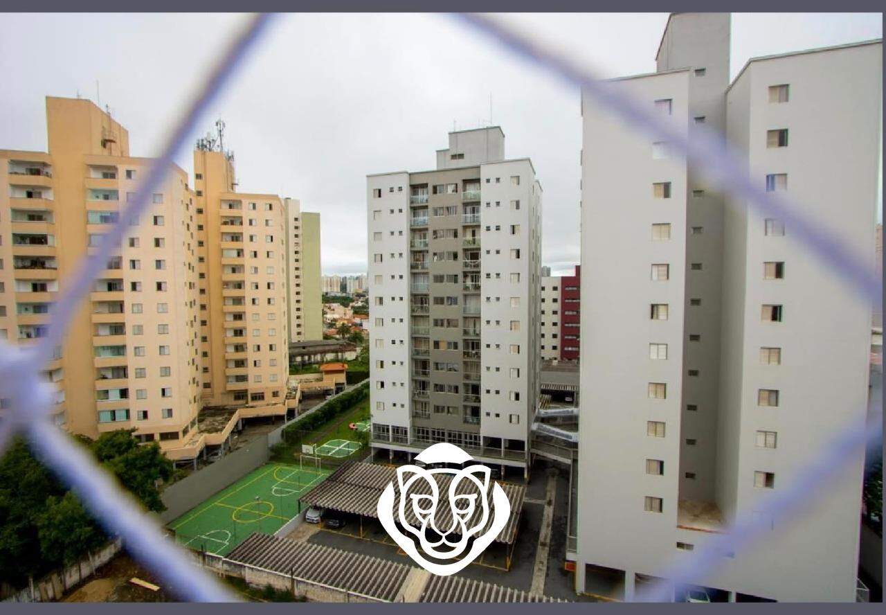 Vista