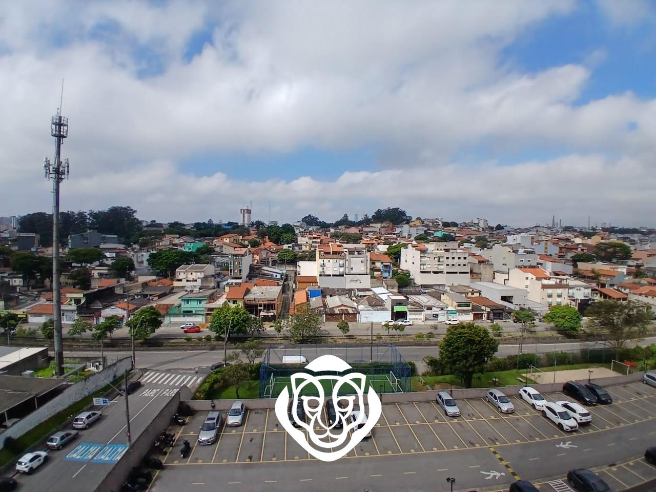 Vista