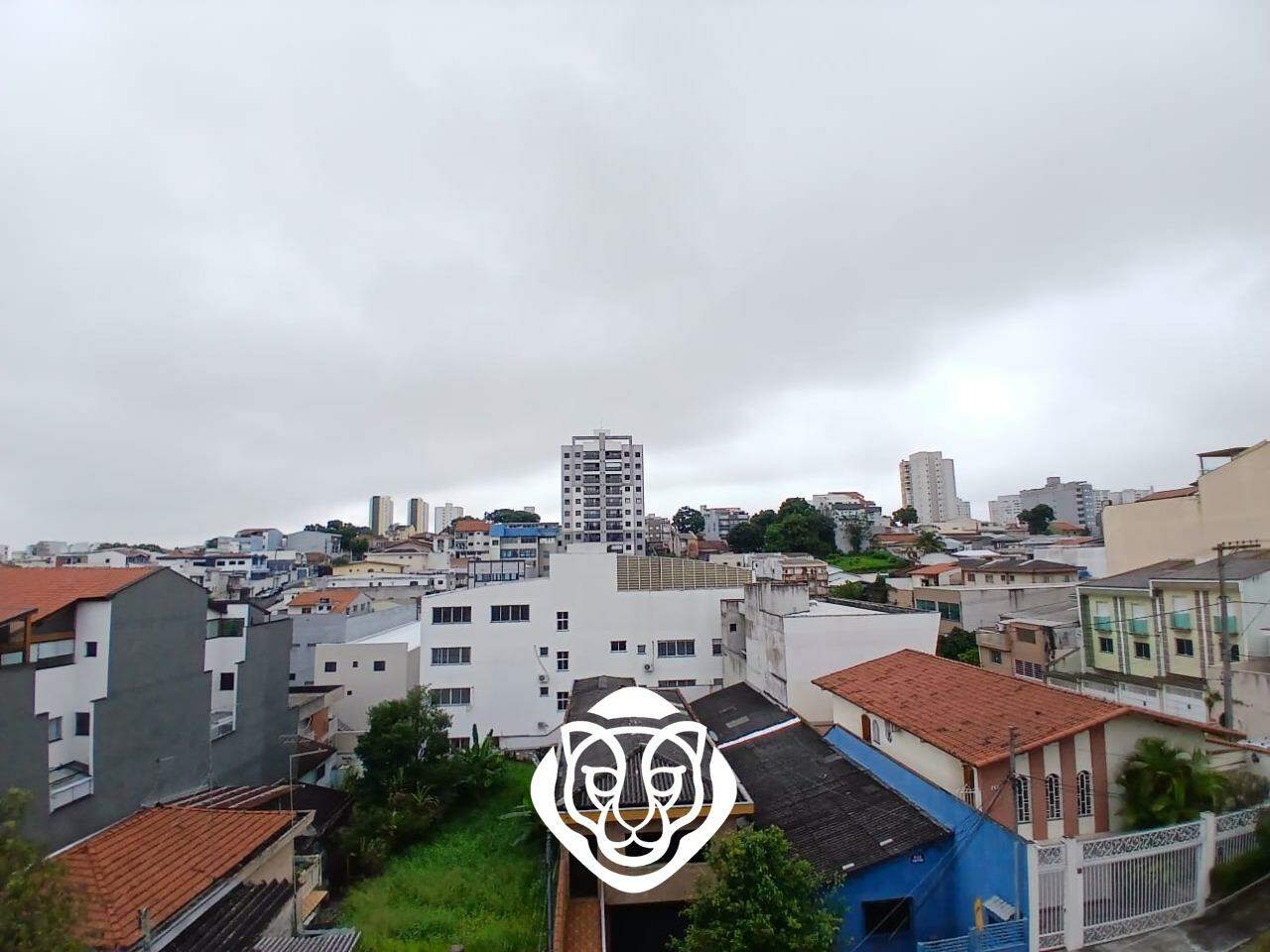 Vista
