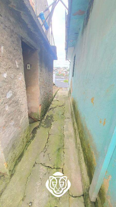 Corredor externo(lateral)