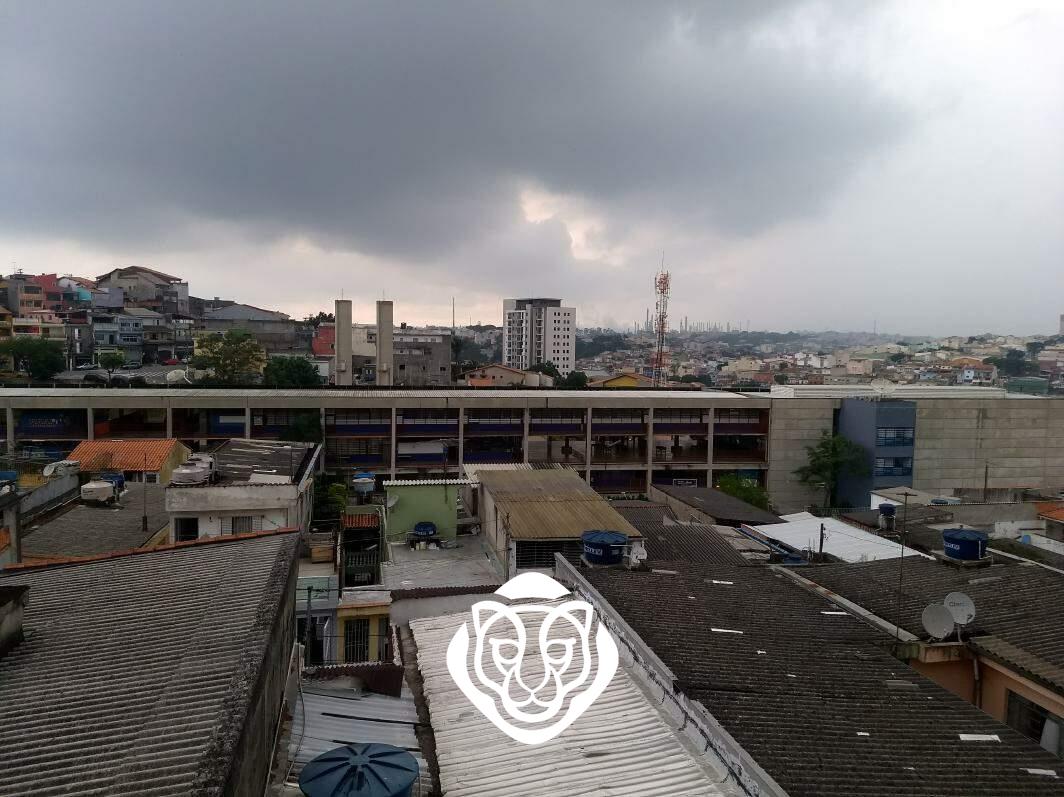 Vista para o Ceu Rosa da china 