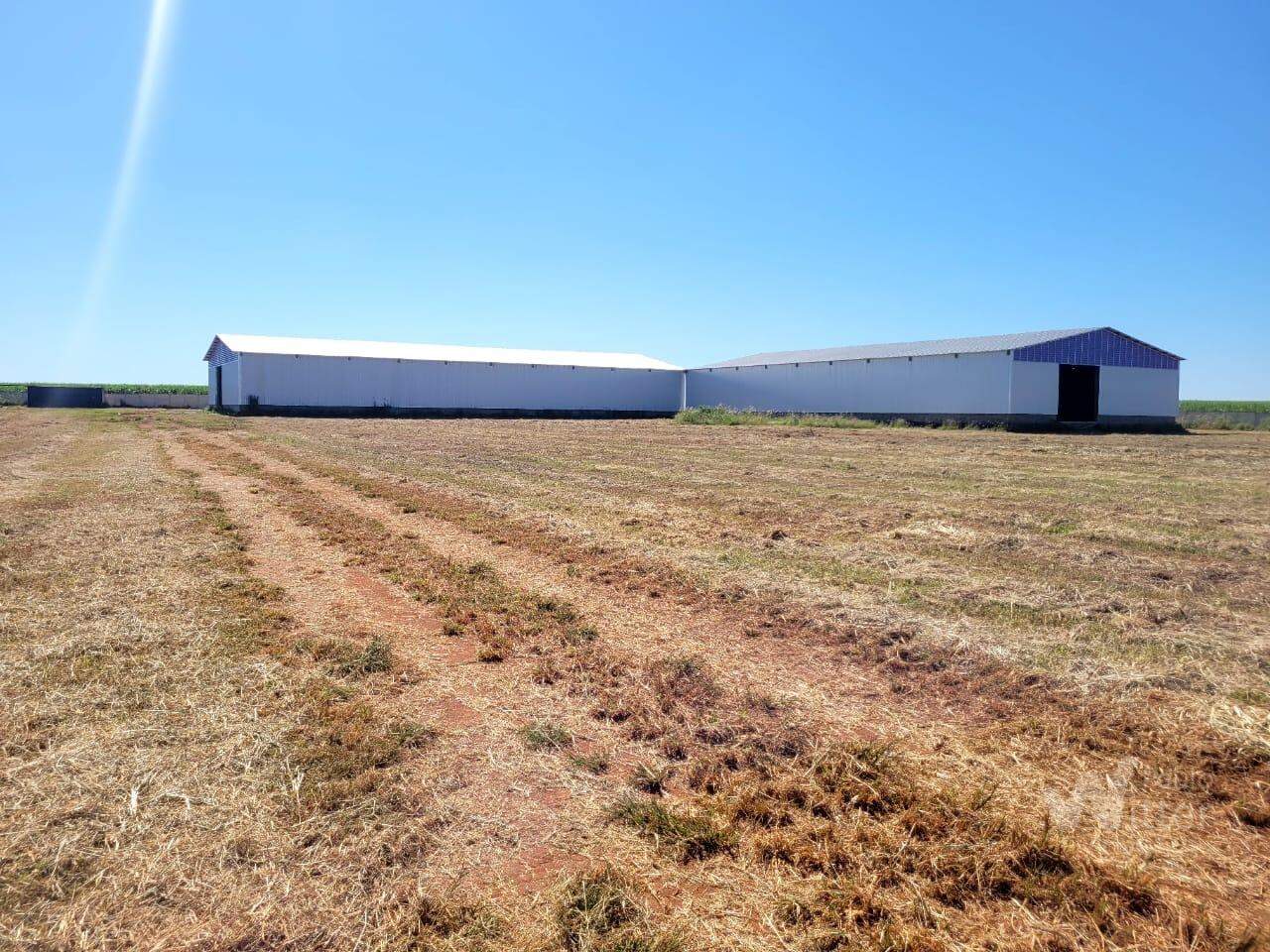 Galpão para aluguel no Área Rural de Conchal: 