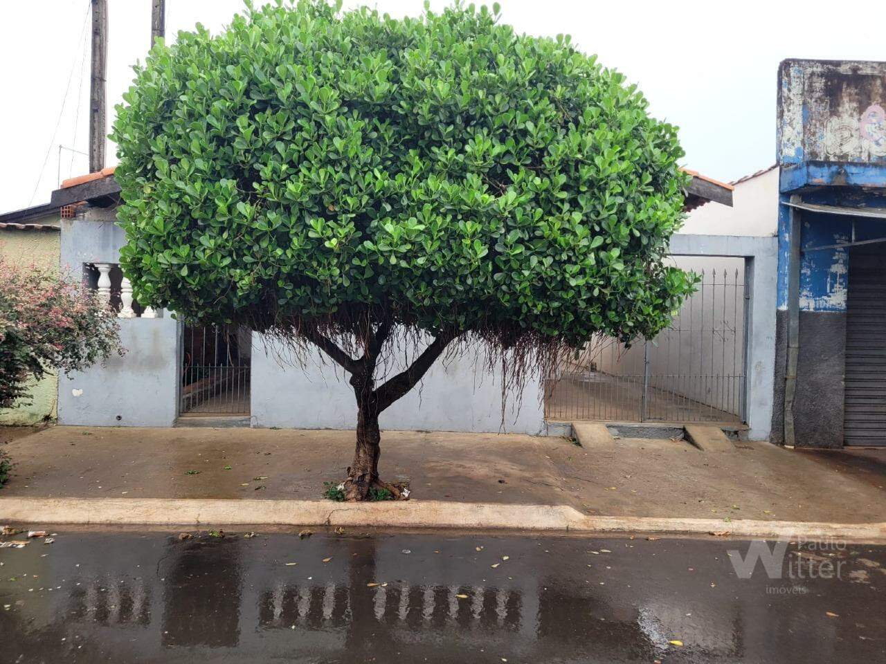 Casa para aluguel no Jardim Bela Vista: 