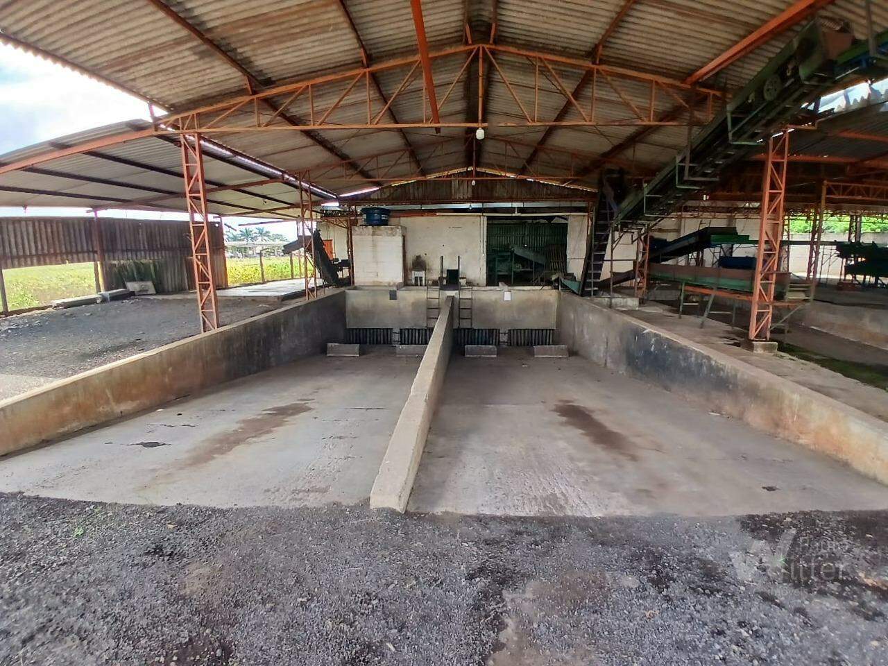 Galpão para aluguel no Distrito Industrial Benedito Delfino Silva: 