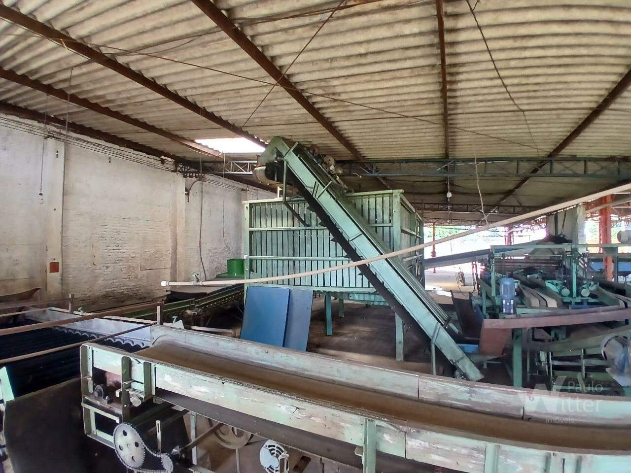Galpão para aluguel no Distrito Industrial Benedito Delfino Silva: 