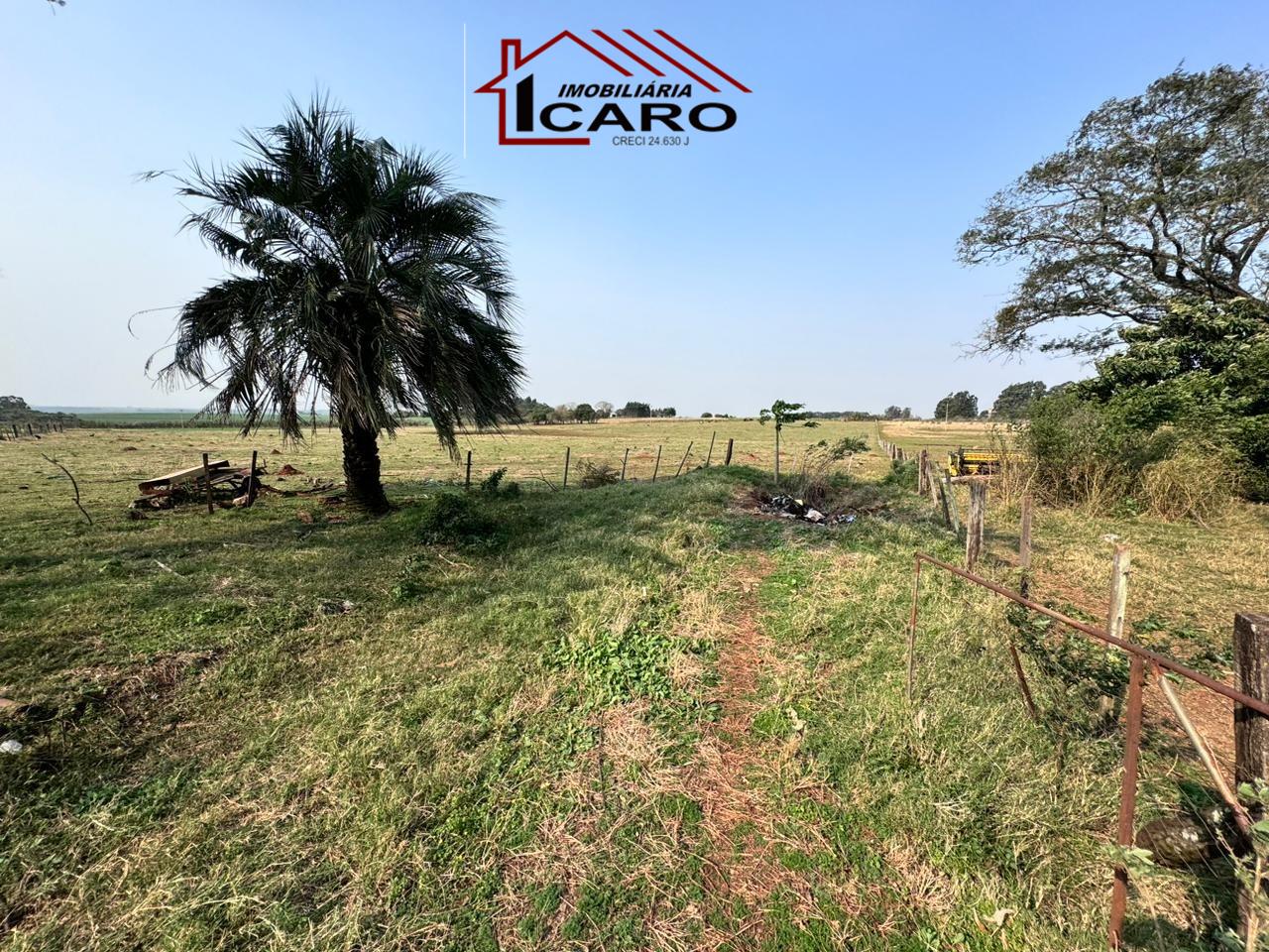 Chácara à venda no AREA RURAL: 