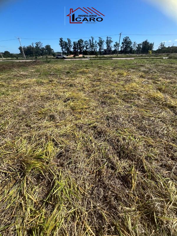 Terreno à venda no Leo Gatiboni: 