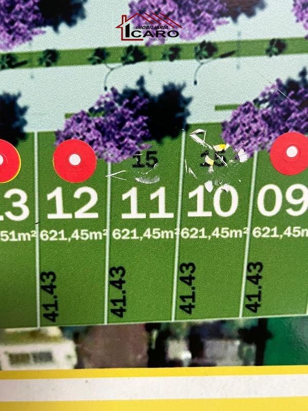 Terreno à venda no Leo Gatiboni: 