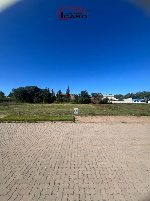Terreno à venda no Leo Gatiboni: 