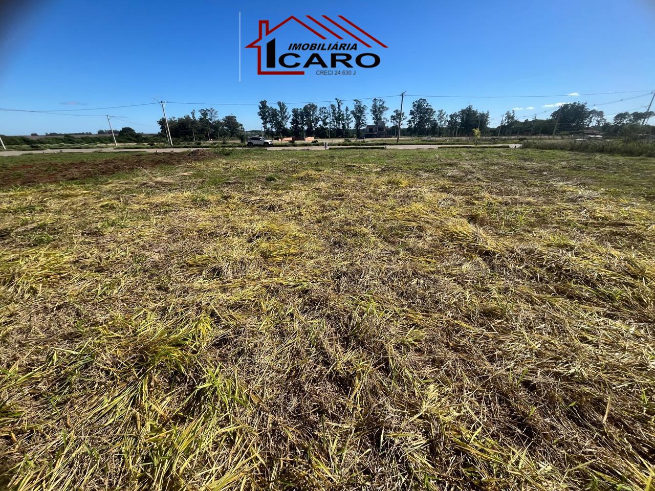 Terreno à venda no Leo Gatiboni: 