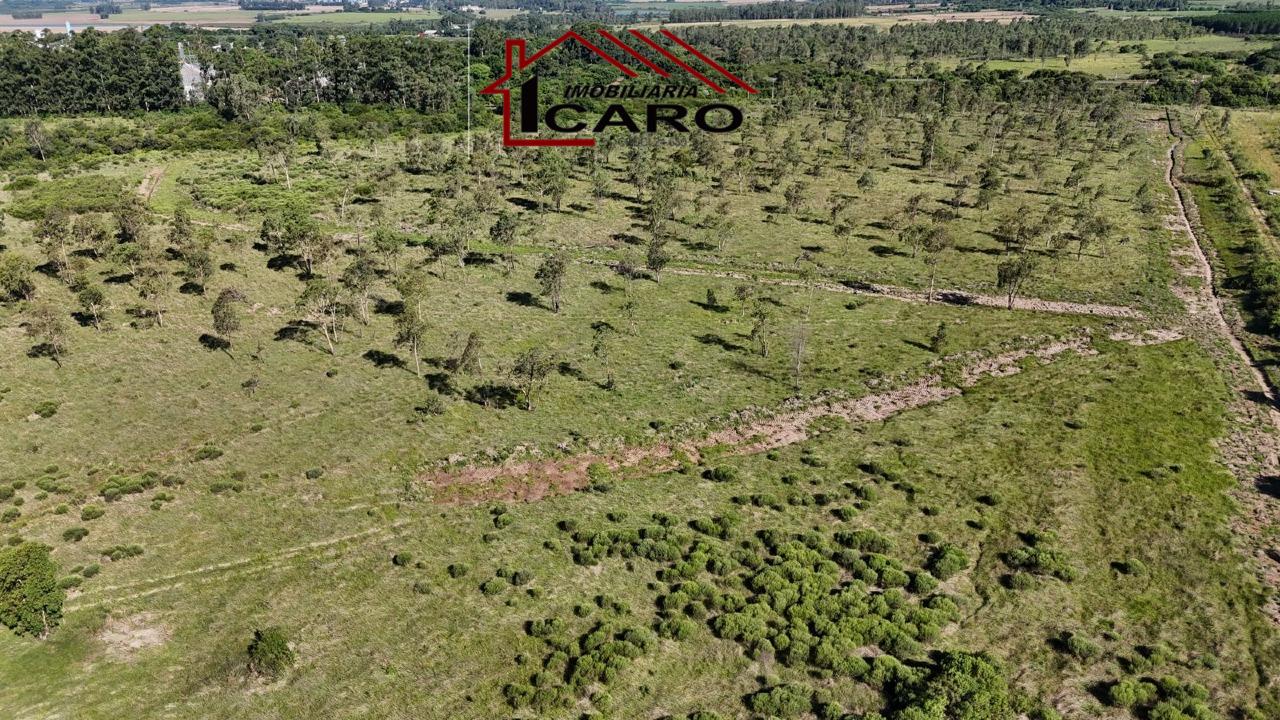 Área Rural à venda no AREA RURAL: 