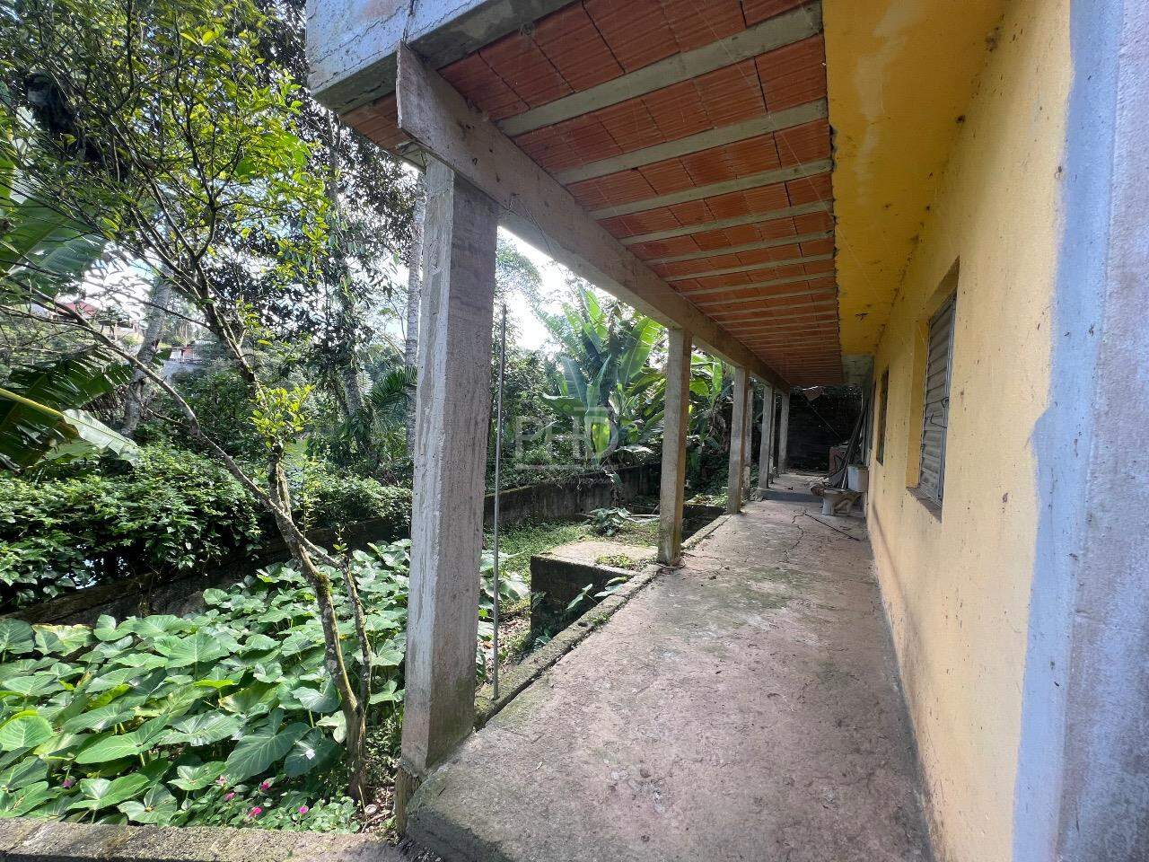 Fazenda à venda com 5 quartos, 350m² - Foto 23