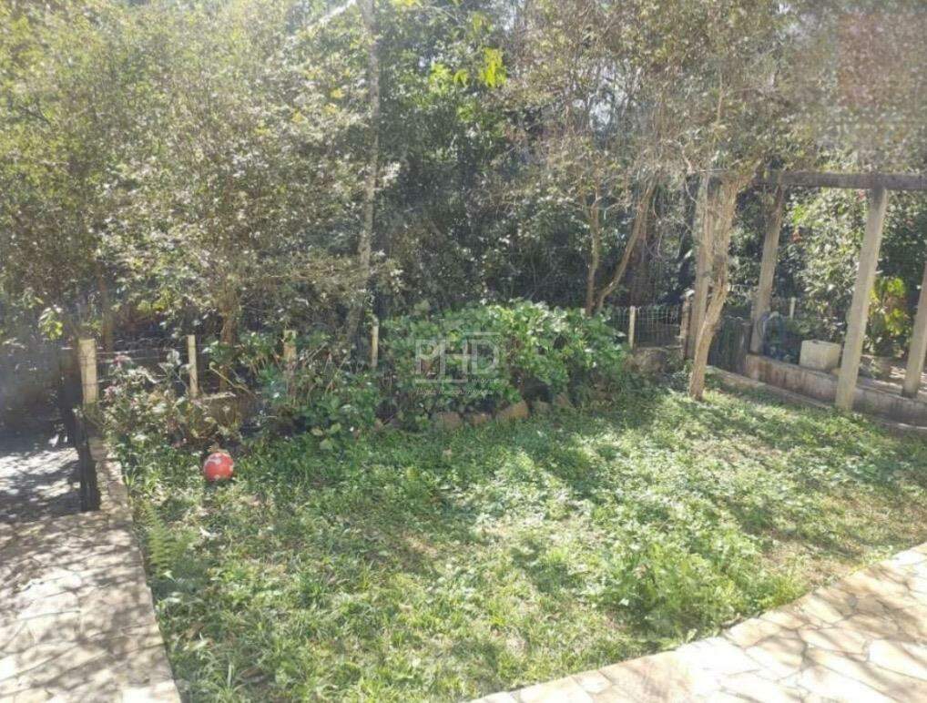 Fazenda à venda com 3 quartos, 350m² - Foto 23