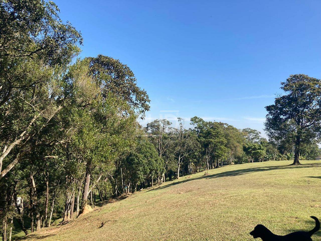 Fazenda à venda com 2 quartos, 23000m² - Foto 15