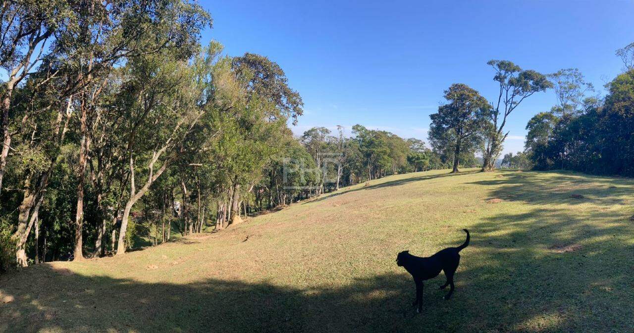 Fazenda à venda com 2 quartos, 23000m² - Foto 14