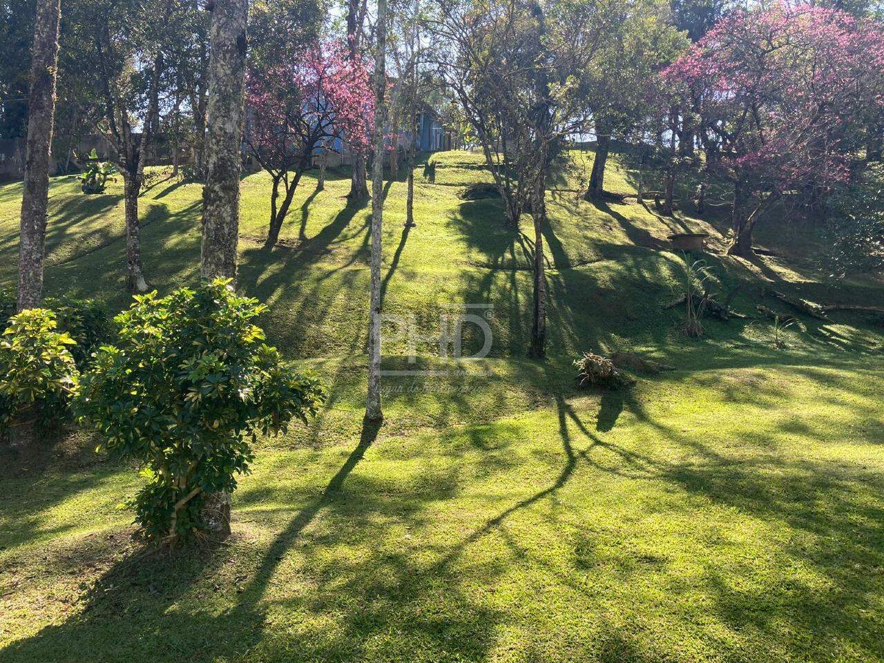 Fazenda à venda com 2 quartos, 23000m² - Foto 10