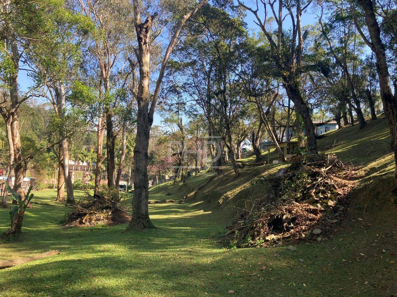 Fazenda à venda com 2 quartos, 23000m² - Foto 13