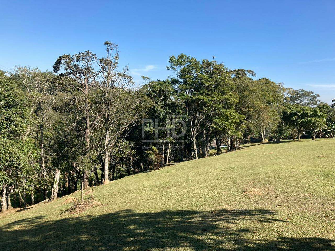 Fazenda à venda com 2 quartos, 23000m² - Foto 4