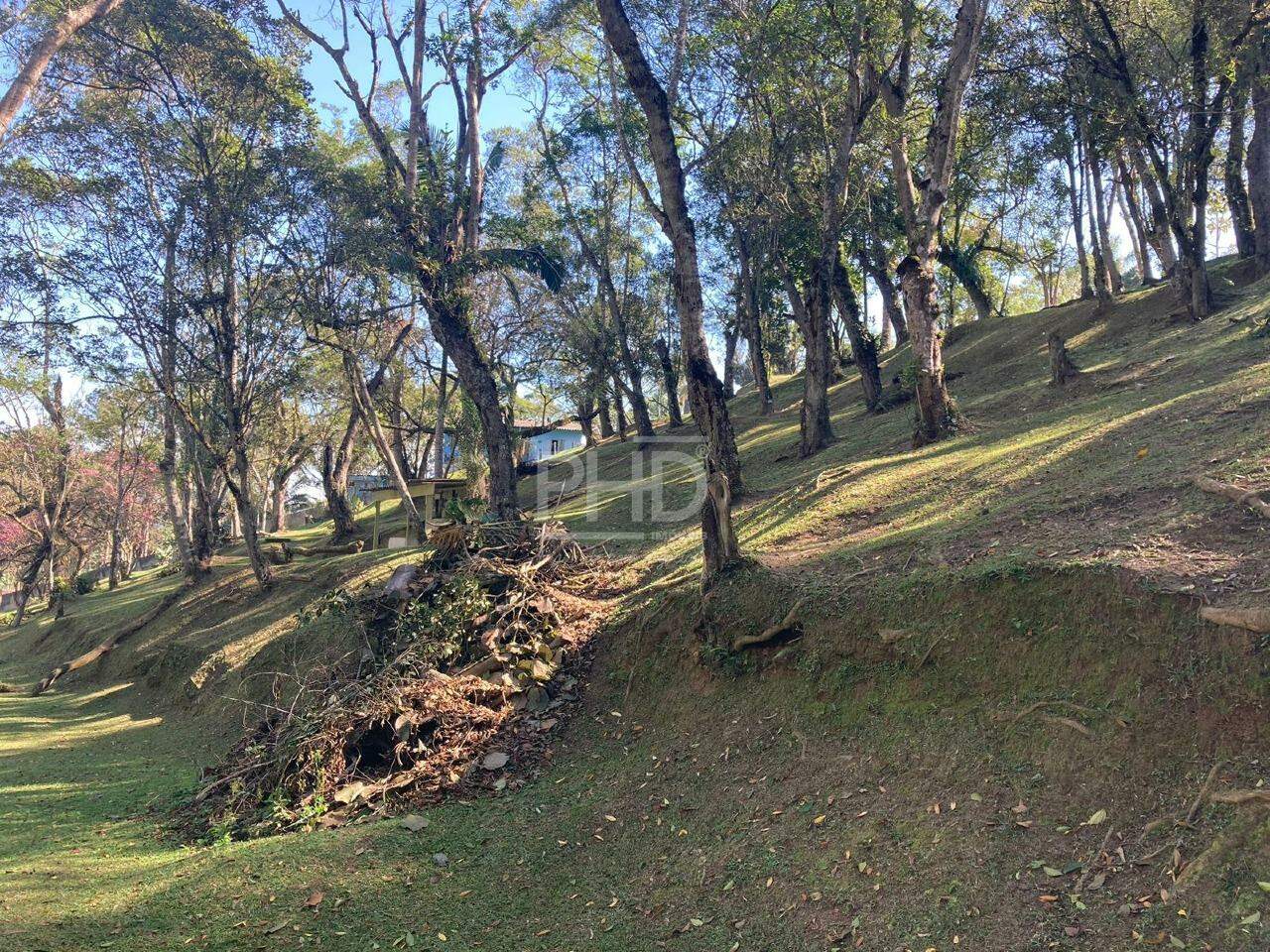 Fazenda à venda com 2 quartos, 23000m² - Foto 12