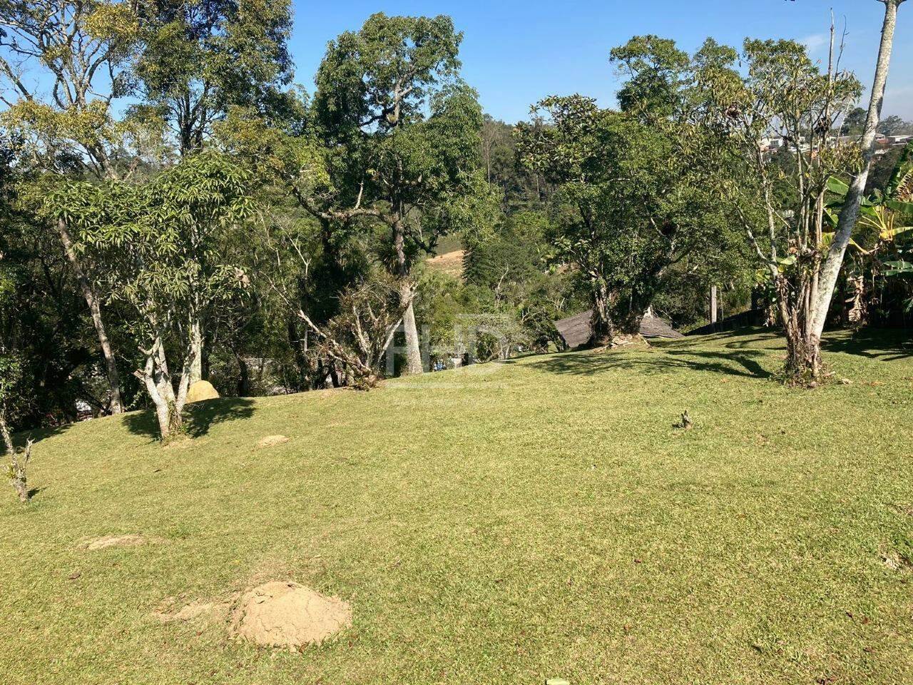 Fazenda à venda com 2 quartos, 23000m² - Foto 1