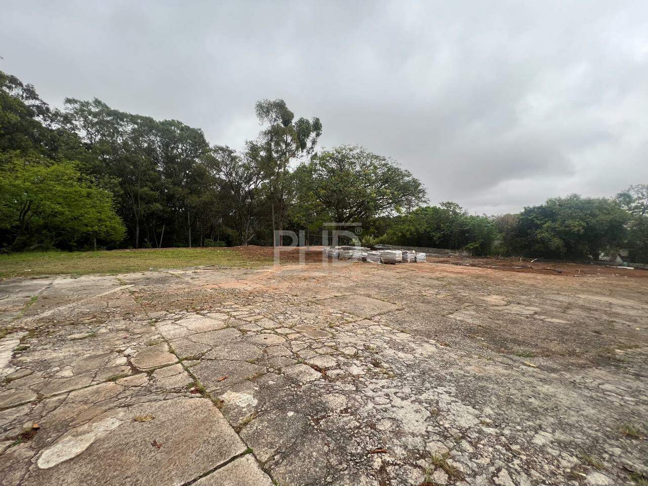 Terreno, 3 hectares - Foto 6
