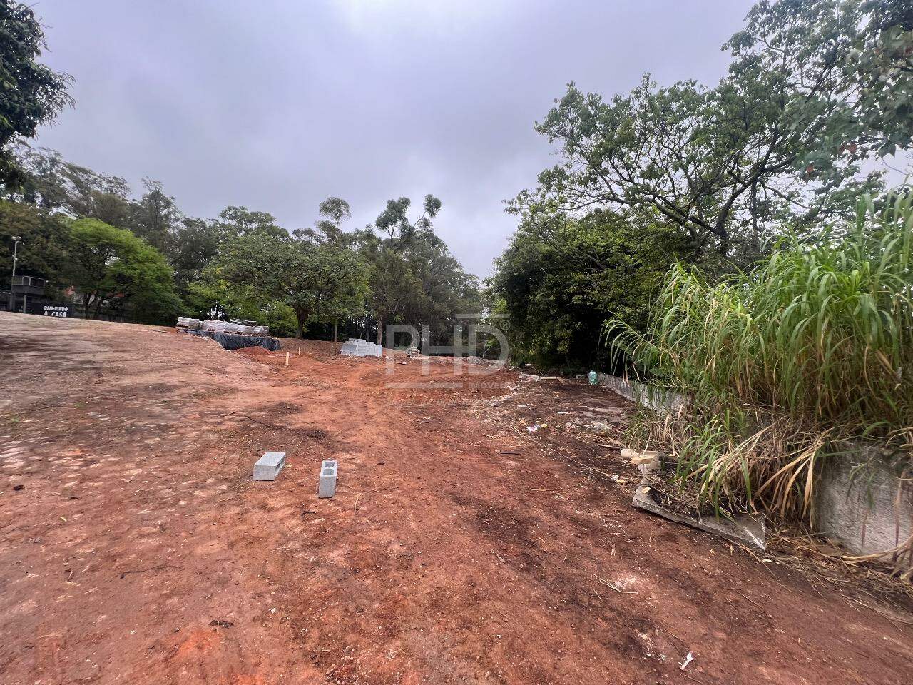 Terreno, 3 hectares - Foto 7