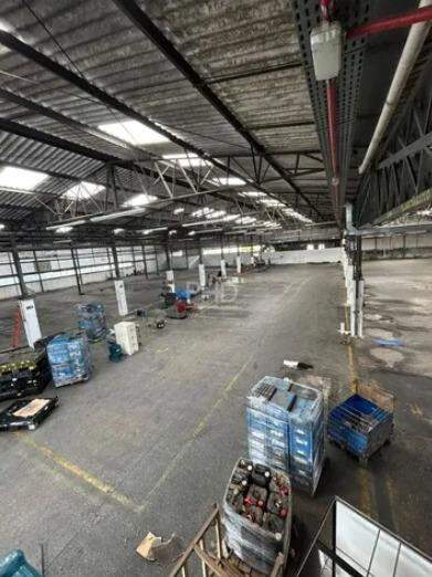 Depósito-Galpão, 3800 m² - Foto 2