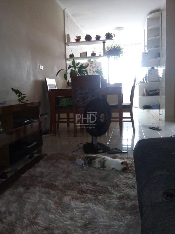 Casa, 5 quartos, 290 m² - Foto 29