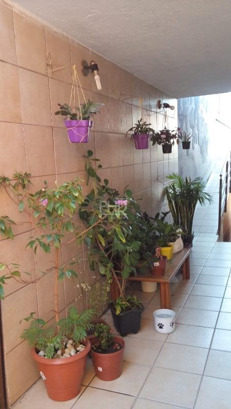 Casa, 5 quartos, 290 m² - Foto 22