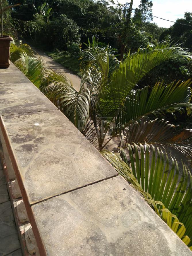 Chácara, 3 quartos, 548 m² - Foto 59