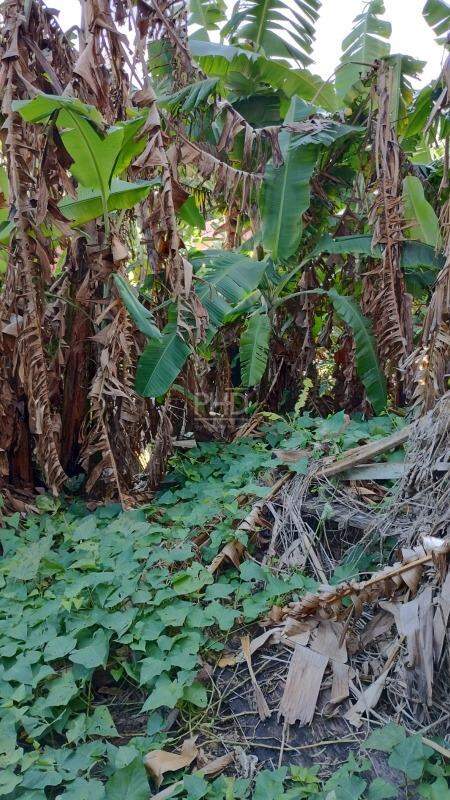 Casa, 3 quartos, 89 m² - Foto 22