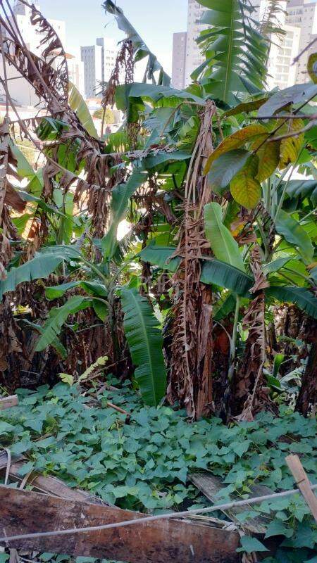 Casa, 3 quartos, 89 m² - Foto 21