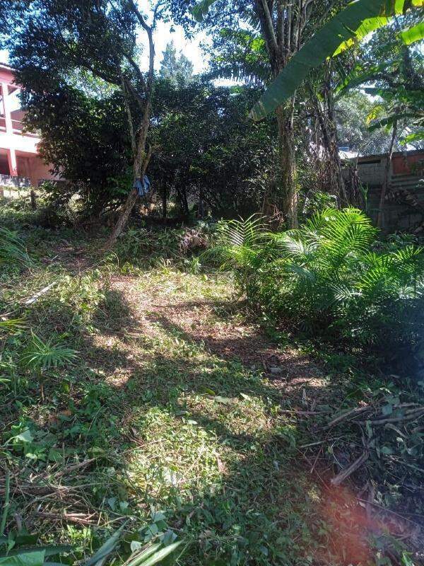 Chácara para alugar com 3 quartos, 300m² - Foto 1