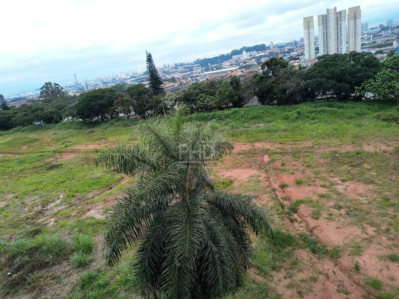 Terreno, 20000 m² - Foto 2