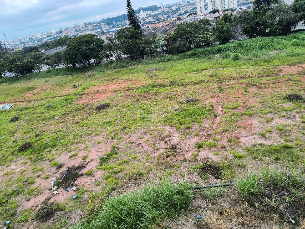 Terreno, 20000 m² - Foto 5