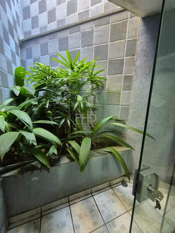 Casa, 3 quartos, 234 m² - Foto 39