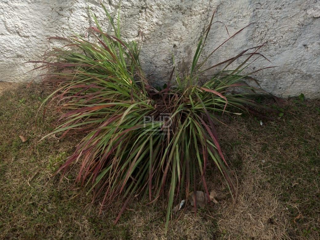 Casa, 2 quartos, 314 m² - Foto 22