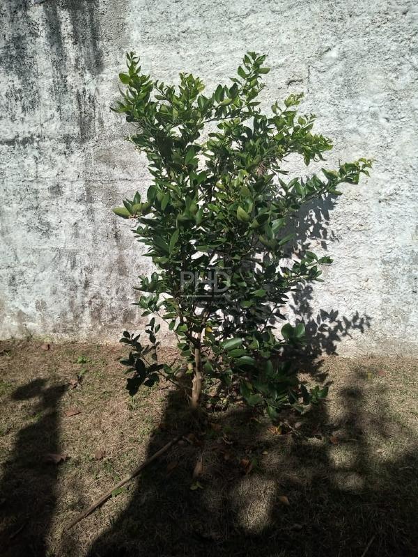 Casa, 2 quartos, 314 m² - Foto 26