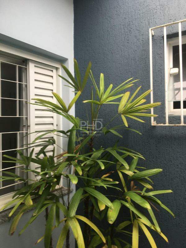 Casa, 3 quartos, 178 m² - Foto 22