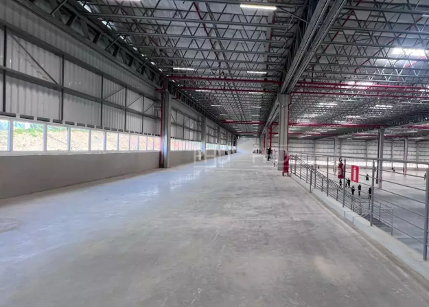 Depósito-Galpão, 3625 m² - Foto 8