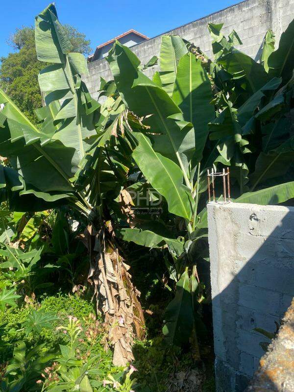 Casa, 4 quartos, 153 m² - Foto 5