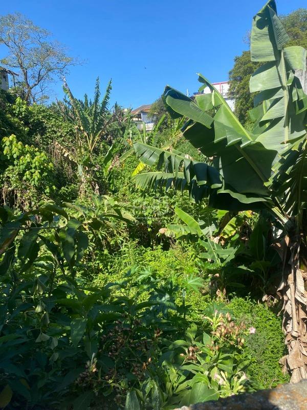 Casa, 4 quartos, 153 m² - Foto 12