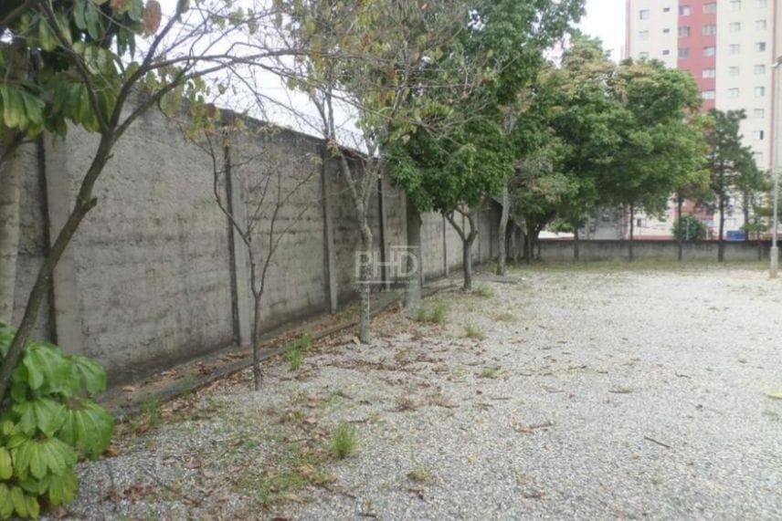 Terreno, 1146 m² - Foto 6