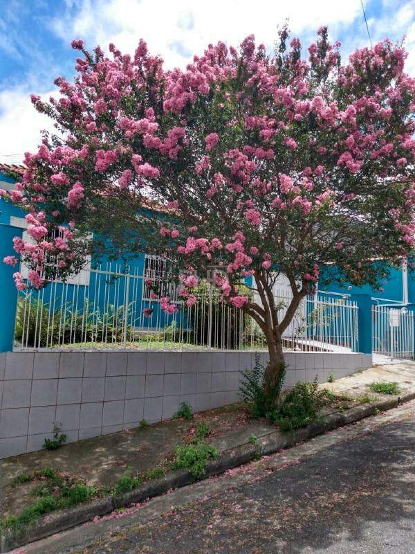 Casa, 2 quartos, 252 m² - Foto 18