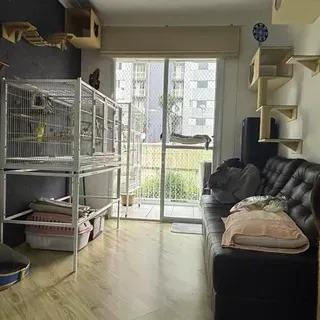 Apartamento, 3 quartos, 60 m² - Foto 2