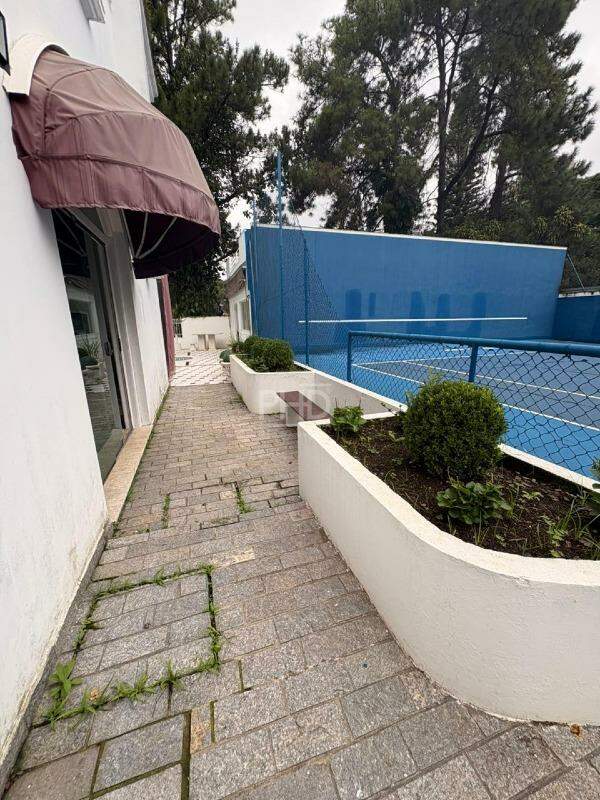 Casa, 4 quartos, 575 m² - Foto 41